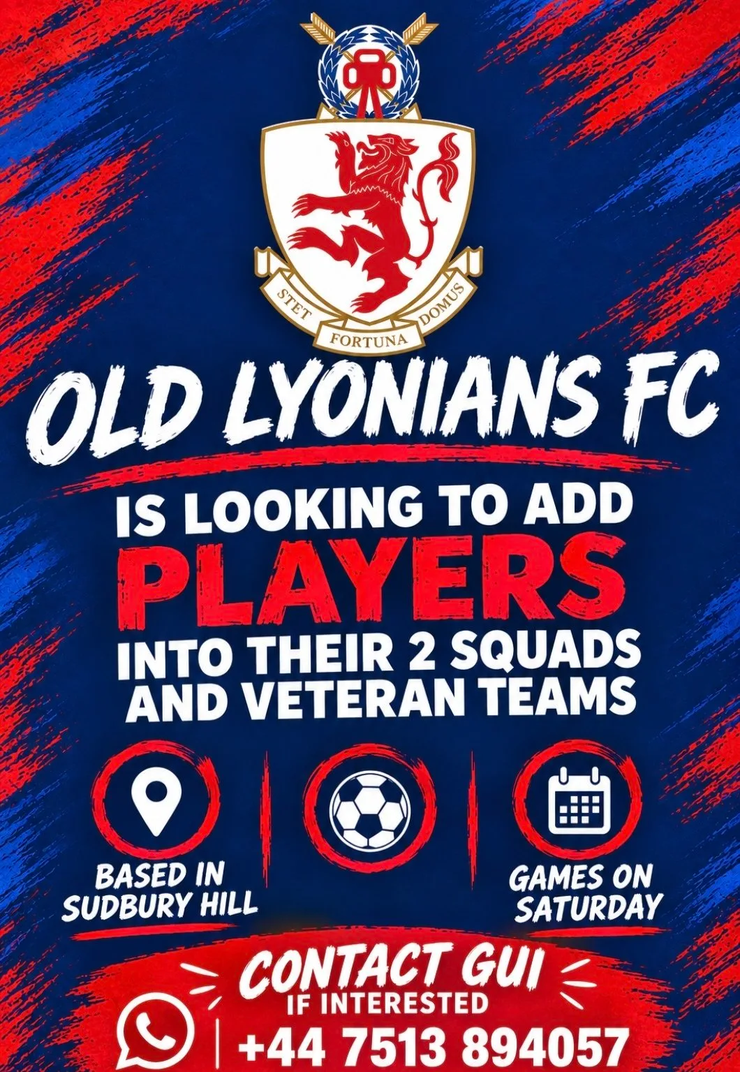 Openings for 2 squads and veteran teams flyer